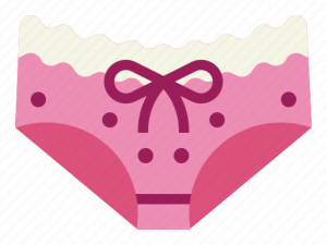 Brassiere PNG Photo