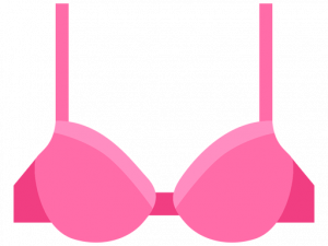 Brassiere PNG Picture