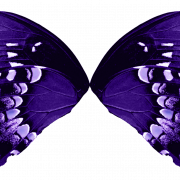 Butterfly Wings