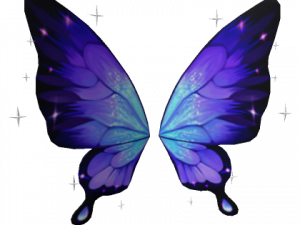 Butterfly Wings PNG