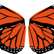 Butterfly Wings PNG Cutout