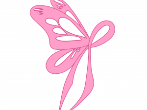 Butterfly Wings PNG Free Image