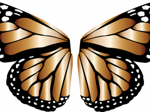 Butterfly Wings PNG Image