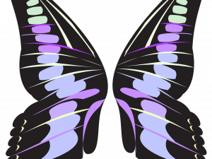 Butterfly Wings PNG Images