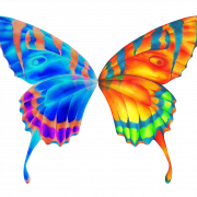 Butterfly Wings PNG Images HD