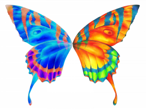 Butterfly Wings PNG Images HD