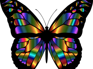 Butterfly Wings PNG Picture