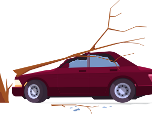 Car Crash PNG Pic