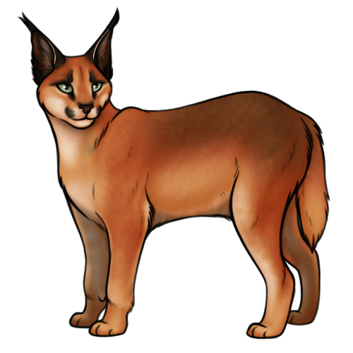 Caracal PNG Clipart