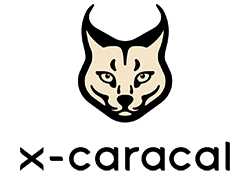 Caracal PNG HD Image