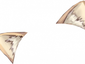 Cat Ear PNG File