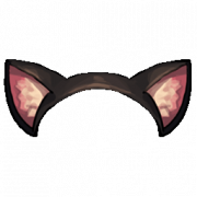 Cat Ear PNG Picture