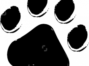 Cat Paw Background PNG