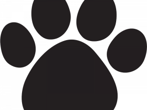 Cat Paw PNG