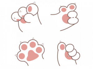 Cat Paw PNG File