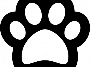 Cat Paw PNG Image