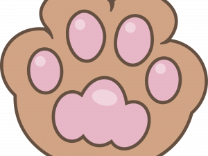 Cat Paw PNG Image HD