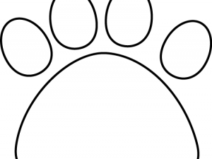 Cat Paw PNG Images