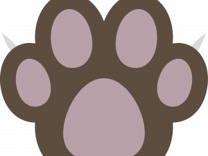 Cat Paw PNG Photos