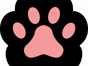 Cat Paw PNG Picture