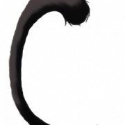 Cat Tail PNG