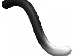 Cat Tail PNG File