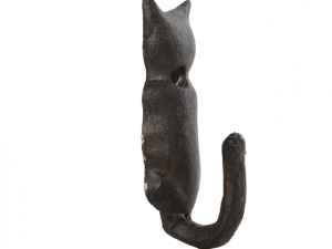 Cat Tail PNG Photo