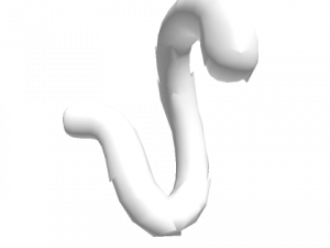 Cat Tail PNG Picture