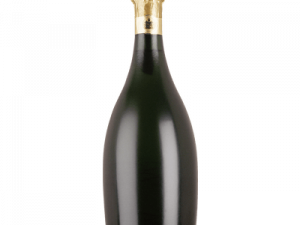 Champagne Bottle PNG Cutout