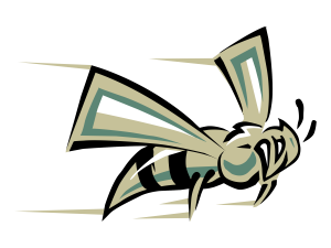 Charlotte Hornets Logo PNG Image File