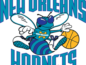 Charlotte Hornets Logo PNG Images HD