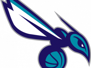 Charlotte Hornets Logo PNG Photos