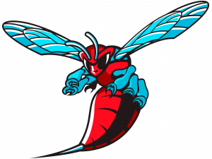 Charlotte Hornets Logo Transparent