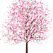 Cherry Blossom Tree PNG Background
