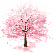 Cherry Blossom Tree PNG File