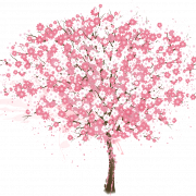 Cherry Blossom Tree PNG Free Image