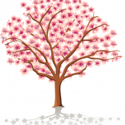 Cherry Blossom Tree PNG Image HD