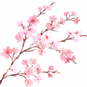 Cherry Blossom Tree Transparent