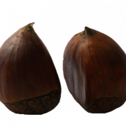 Chestnut PNG HD Image