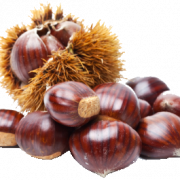 Chestnut PNG Pic