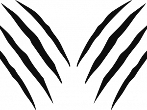 Claw Mark PNG File