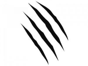 Claw Mark PNG Photo