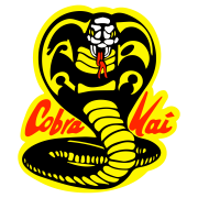 Cobra Kai Transparent