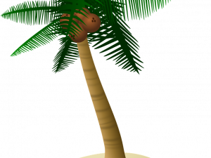 Coconut Tree PNG Free Image