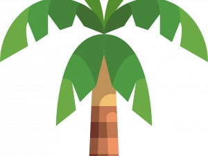 Coconut Tree PNG Image