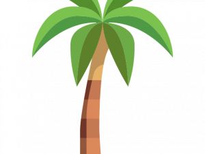 Coconut Tree PNG Image HD