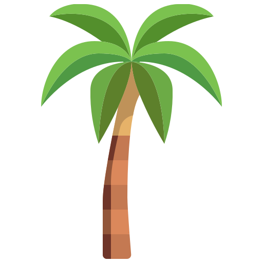 Coconut Tree PNG Image HD