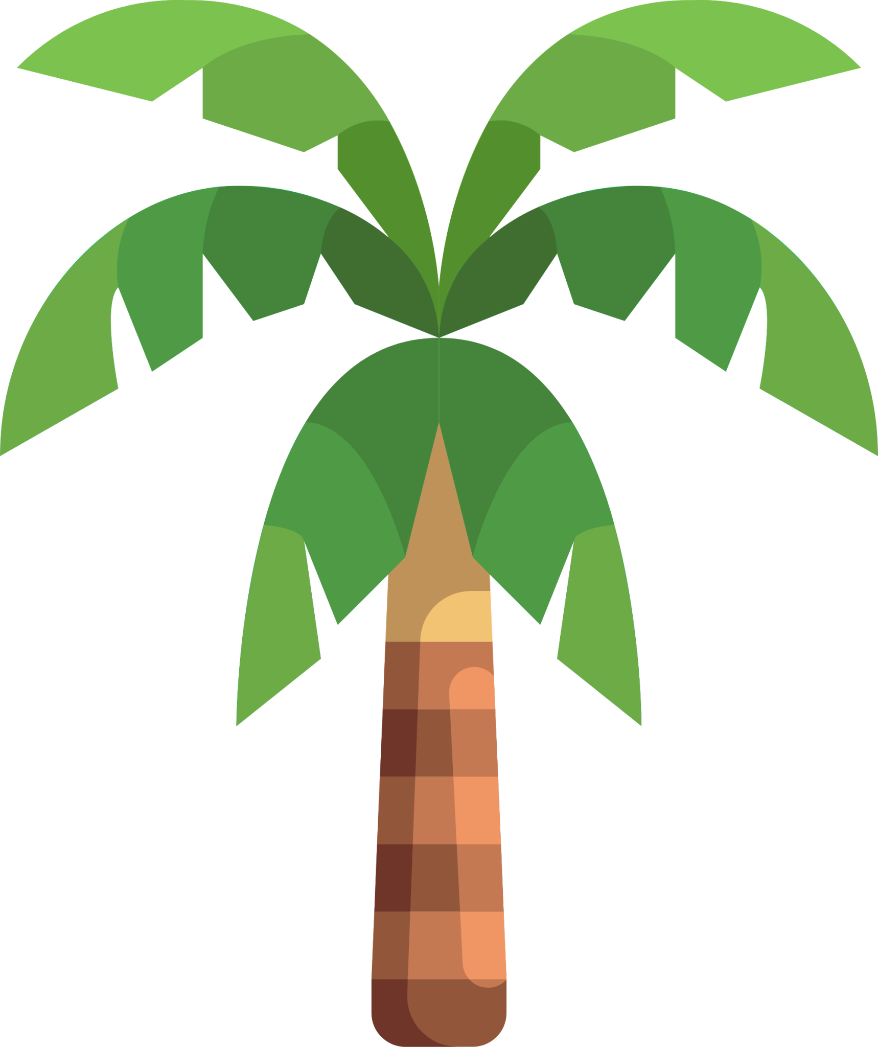 Coconut Tree PNG Image