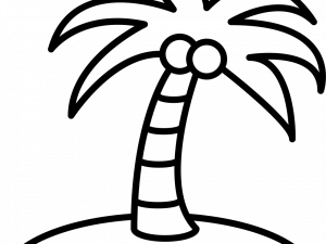 Coconut Tree PNG Photo