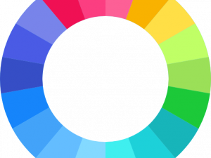 Color Wheel PNG Photo